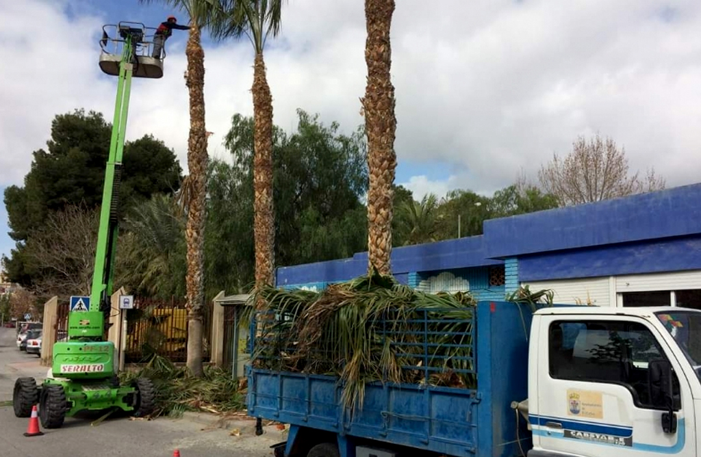 Se invierten casi 16.000 euros en el mantenimiento y conservación de jardines y arbolado